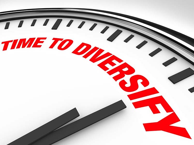 Diversifying the Supply Chain