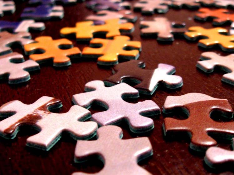 Diversity and Inclusion Strategy Crucial to Automotive Talent Search
