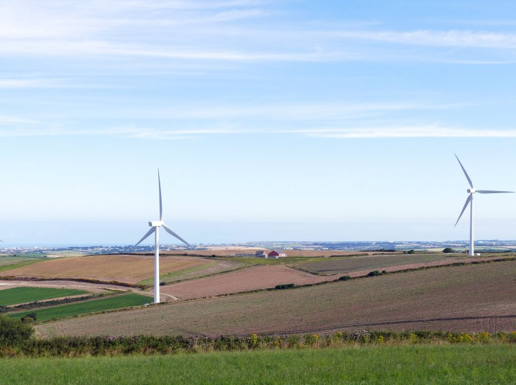 Going Green and Diverse: Duke Energy Florida completes two financings totaling $900 million